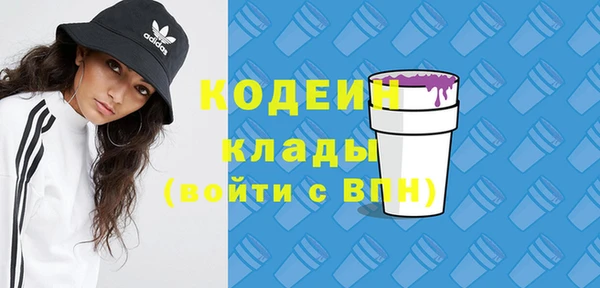 шишки Беломорск