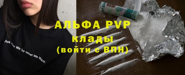 шишки Беломорск