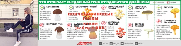 шишки Беломорск