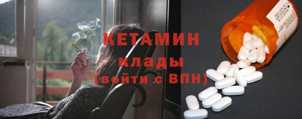 шишки Беломорск