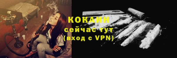 дживик Богданович