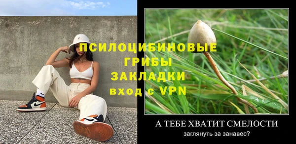 шишки Беломорск