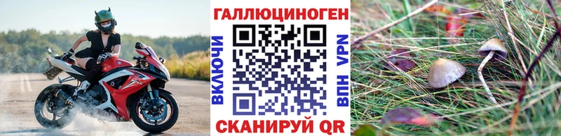 Галлюциногенные грибы мицелий  MEGA как войти  Новый Оскол 